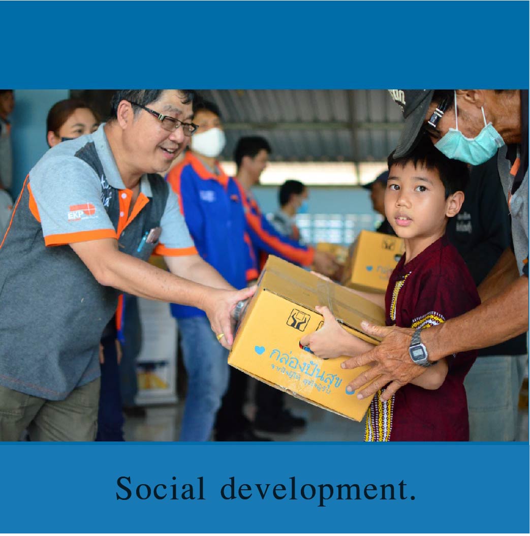 พัฒนาสังคม (Social development)